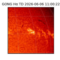 gong - 2026-06-06T11:00:22