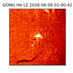 gong - 2026-06-06T01:00:42