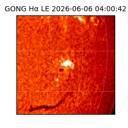 gong - 2026-06-06T04:00:42