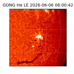gong - 2026-06-06T06:00:42