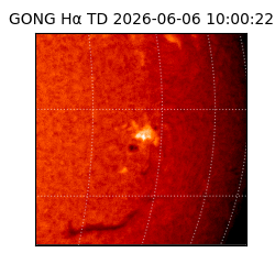 gong - 2026-06-06T10:00:22
