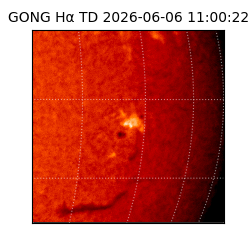 gong - 2026-06-06T11:00:22