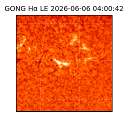 gong - 2026-06-06T04:00:42