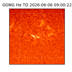 gong - 2026-06-06T09:00:22