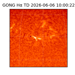 gong - 2026-06-06T10:00:22