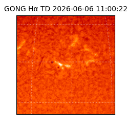 gong - 2026-06-06T11:00:22