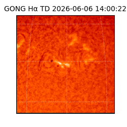 gong - 2026-06-06T14:00:22