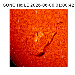 gong - 2026-06-06T01:00:42