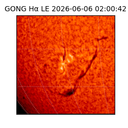 gong - 2026-06-06T02:00:42
