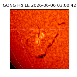 gong - 2026-06-06T03:00:42