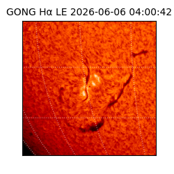gong - 2026-06-06T04:00:42