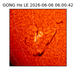 gong - 2026-06-06T06:00:42