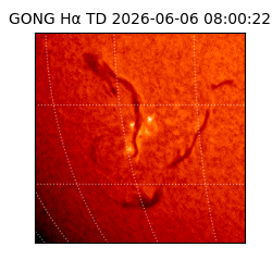 gong - 2026-06-06T08:00:22