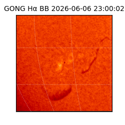 gong - 2026-06-06T23:00:02