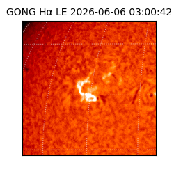 gong - 2026-06-06T03:00:42