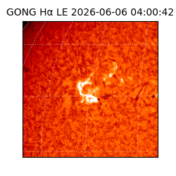 gong - 2026-06-06T04:00:42