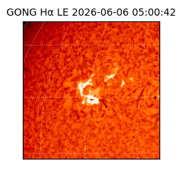 gong - 2026-06-06T05:00:42