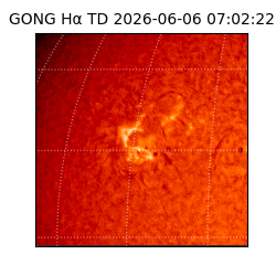 gong - 2026-06-06T07:02:22