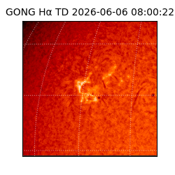 gong - 2026-06-06T08:00:22