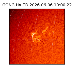 gong - 2026-06-06T10:00:22