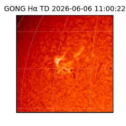 gong - 2026-06-06T11:00:22