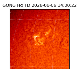 gong - 2026-06-06T14:00:22