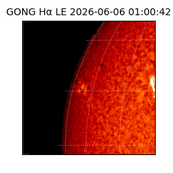 gong - 2026-06-06T01:00:42