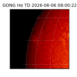 gong - 2026-06-06T08:00:22