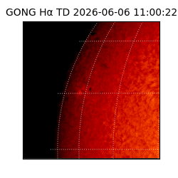 gong - 2026-06-06T11:00:22
