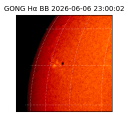 gong - 2026-06-06T23:00:02