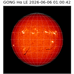 gong - 2026-06-06T01:00:42