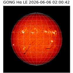 gong - 2026-06-06T02:00:42