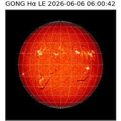 gong - 2026-06-06T06:00:42