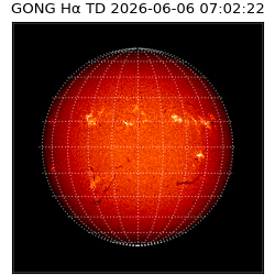 gong - 2026-06-06T07:02:22