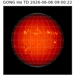 gong - 2026-06-06T09:00:22