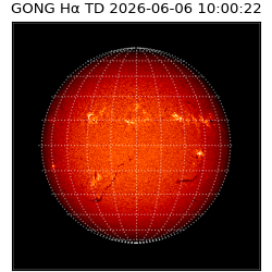 gong - 2026-06-06T10:00:22