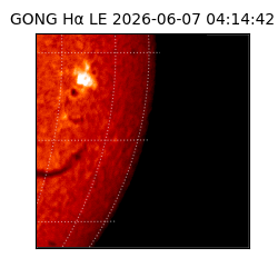 gong - 2026-06-07T04:14:42