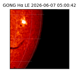 gong - 2026-06-07T05:00:42