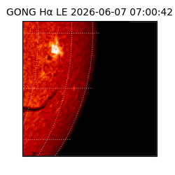 gong - 2026-06-07T07:00:42