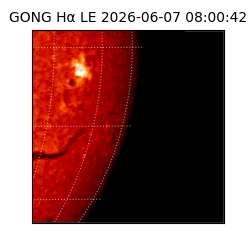 gong - 2026-06-07T08:00:42