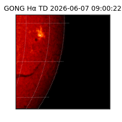 gong - 2026-06-07T09:00:22