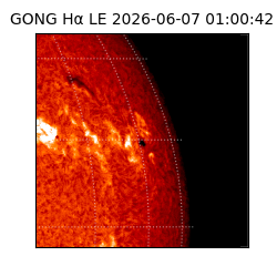 gong - 2026-06-07T01:00:42