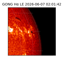 gong - 2026-06-07T02:01:42
