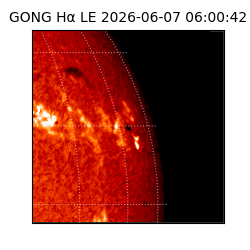 gong - 2026-06-07T06:00:42