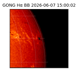 gong - 2026-06-07T15:00:02