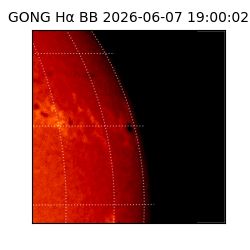 gong - 2026-06-07T19:00:02