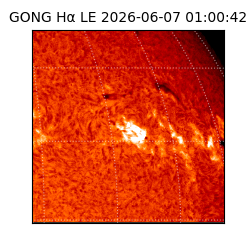 gong - 2026-06-07T01:00:42