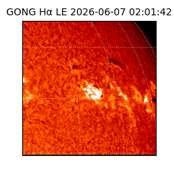 gong - 2026-06-07T02:01:42
