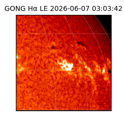 gong - 2026-06-07T03:03:42