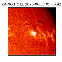 gong - 2026-06-07T05:00:42